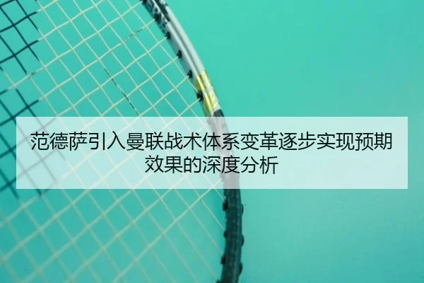 范德萨引入曼联战术体系变革逐步实现预期效果的深度分析