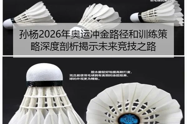 孙杨2026年奥运冲金路径和训练策略深度剖析揭示未来竞技之路